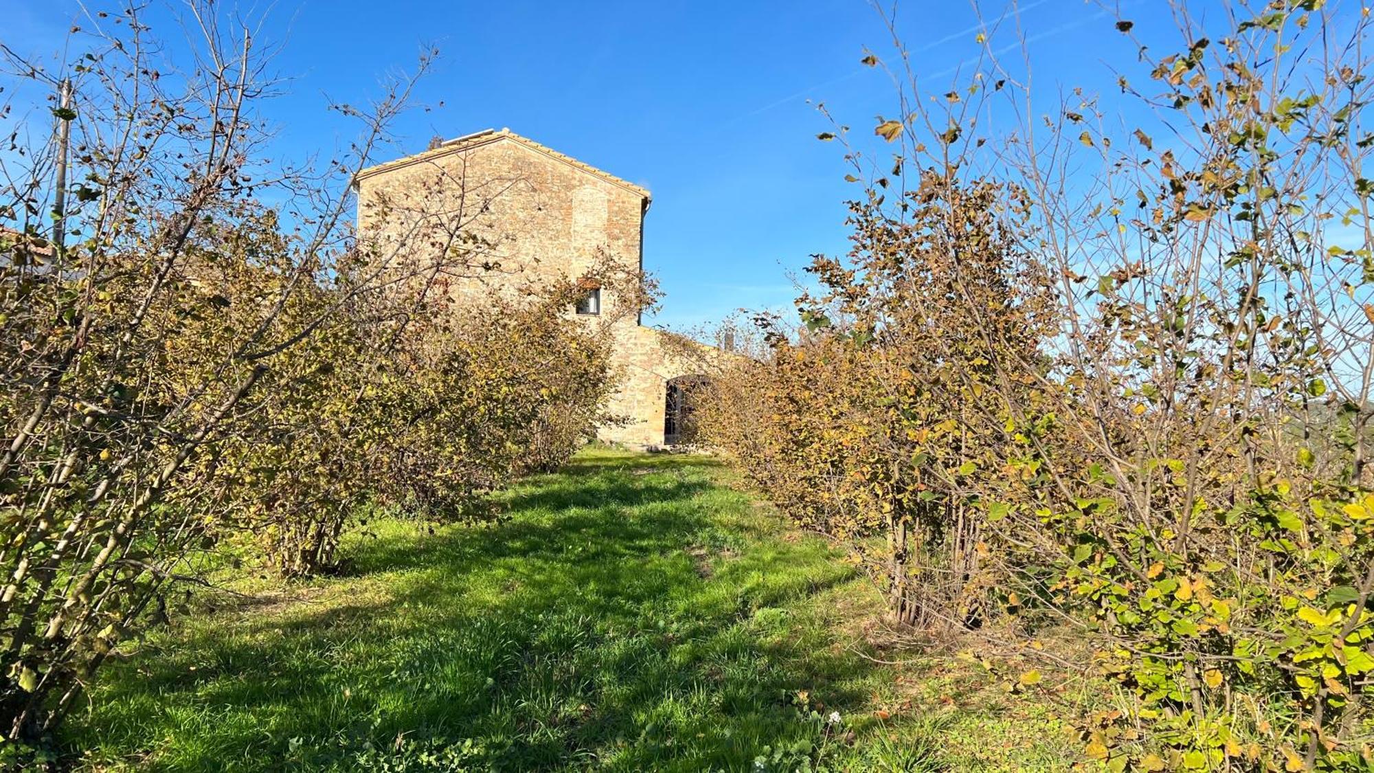 La Creveta Villa Tivissa ภายนอก รูปภาพ